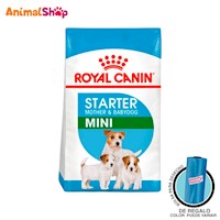 Comida De Perro Royal Canin Shn Mini Starter M&B X 4 Kg